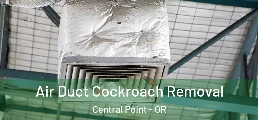 Air Duct Cockroach Removal Central Point - OR