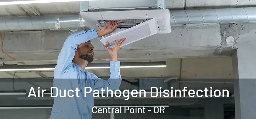  Air Duct Pathogen Disinfection Central Point - OR