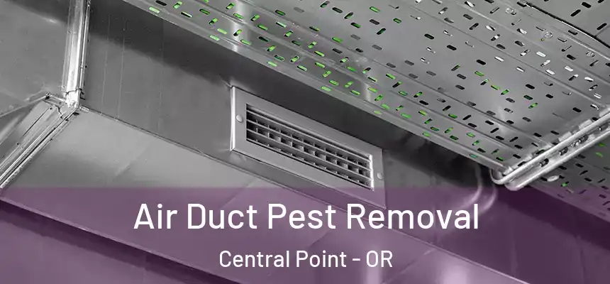 Air Duct Pest Removal Central Point - OR
