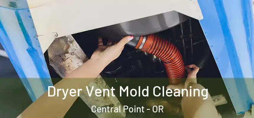 Dryer Vent Mold Cleaning Central Point - OR
