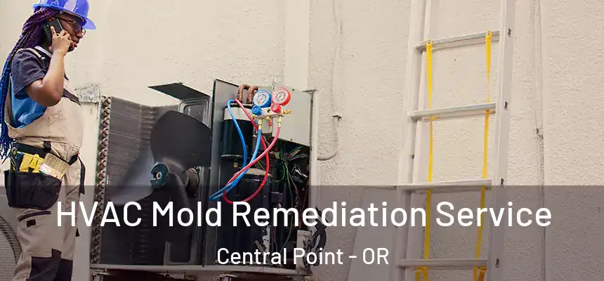  HVAC Mold Remediation Service Central Point - OR