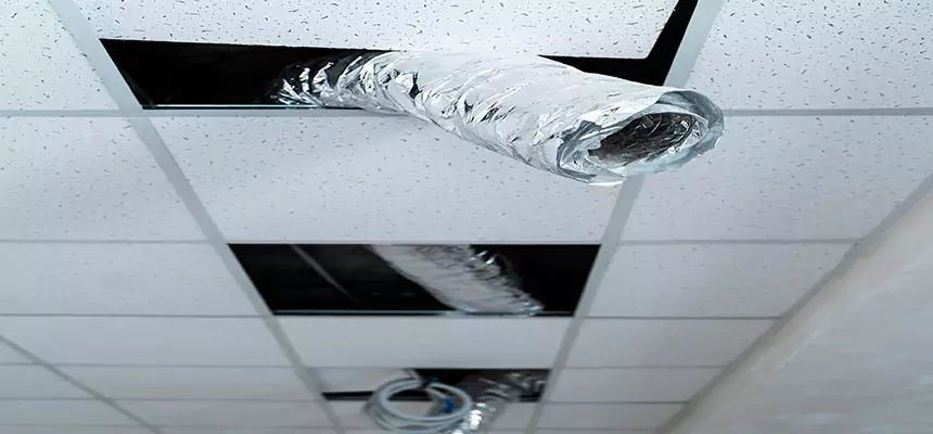 Affordable HVAC Sanitizing After Pest Removal in Central Point