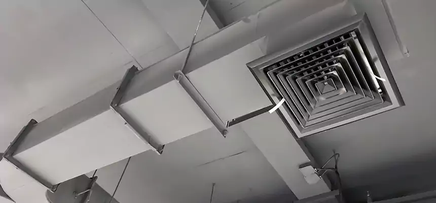 Restorative Allergy Relief Vent Cleaning – Coil, Blower & Housing Detail in Central Point