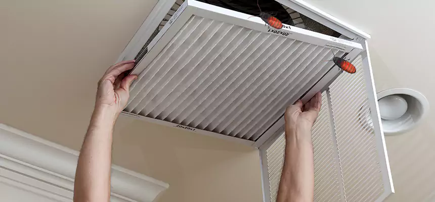 Our Insect Removal from Air Ducts Services in Central Point, OR