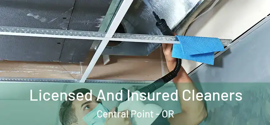 Licensed And Insured Cleaners Central Point - OR