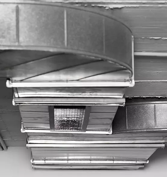 Professional Air Duct Pest Removal in Central Point, OR